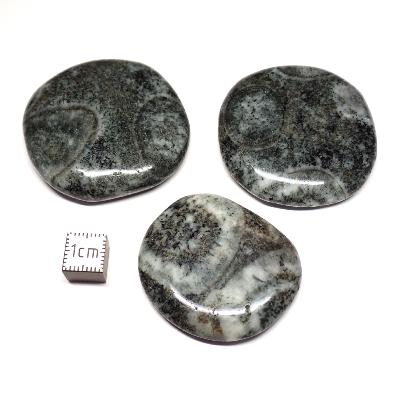 Diorites Orbiculaire Pierre Plate