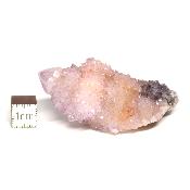Cristal Cactus Pierre Brute 05400