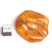 Ambre de la Baltique morceau poli n° 05954
