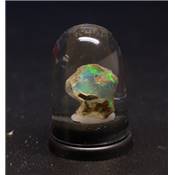 Opale d'Ethiopie - 14.00 carats - 07831