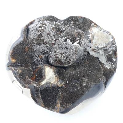 Septaria Coeur Brute 08824