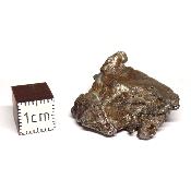 Météorite Sidérite Sikhote-Alin 15171