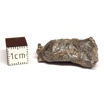 Météorite Sidérite Sikhote-Alin 15173