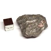 Météorite Sidérite Sikhote-Alin 15178