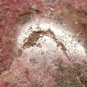 Rhodonite Forme Libre 15677