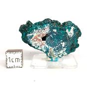 Dioptase Pierre Brute 15781
