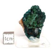 Dioptase Pierre Brute 15821