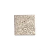 Météorite de Muonionalusta - plaque 2002