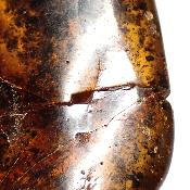 Ambre de la Baltique morceau poli 2036