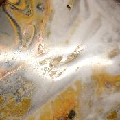 Jaspe Abeille Plaque 2278