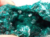 Dioptase Pierre Brute 2324
