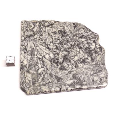 Pinolite Plaque 2338