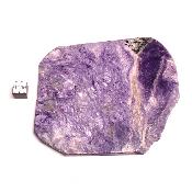 Charoite Tranche 2350