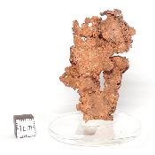 Cuivre Natif pierre brute 2576