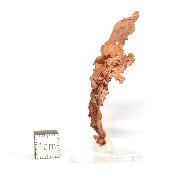 Cuivre Natif pierre brute 2578