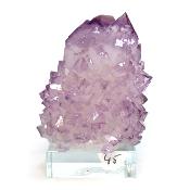 Cristal Cactus Brute 2724