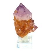 Cristal Cactus avec Citrine Brute 2728