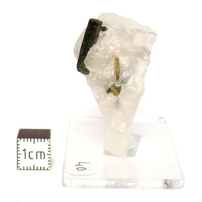 Tourmaline Verte sur gangue pierre brute 2969