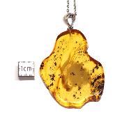 Ambre de la Baltique Pendentif 3093