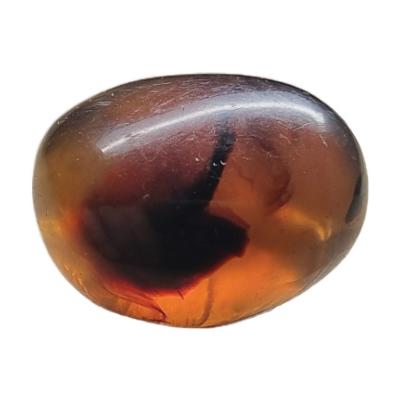 Ambre de Sumatra (Indonsie)