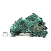 Malachite Fibreuse Pierre Brute n° 05976