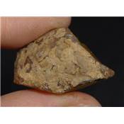 Opale d'Ethiopie - 27.50 carats - 07759