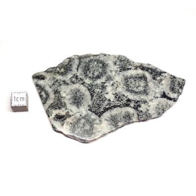 Diorite Orbiculaire Plaque 0115