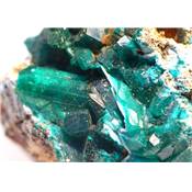 Dioptase Pierre Brute 11745