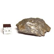 Météorite Sidérite Sikhote-Alin 15181
