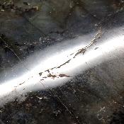 Labradorite Forme Libre 15376