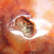 Cornaline chauffée coeur 15484