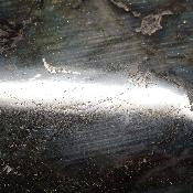 Labradorite Forme Libre 15497