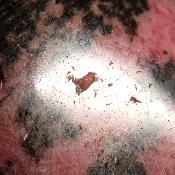 Rhodonite Forme Libre 15675