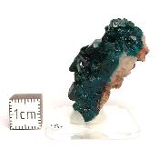 Dioptase Pierre Brute 15821