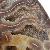 Ammonite Clinoviceras Nacrée Sciée Paire 20328