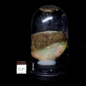 Opale d'Ethiopie Pierre Brute 2289