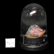 Opale d'Ethiopie Pierre Brute 2318