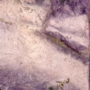 Charoite Tranche 2341