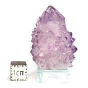 Cristal Cactus Brute 2724