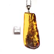 Ambre de la Baltique Pendentif 3091