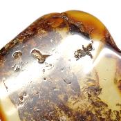 Ambre de la Baltique Pendentif 3091