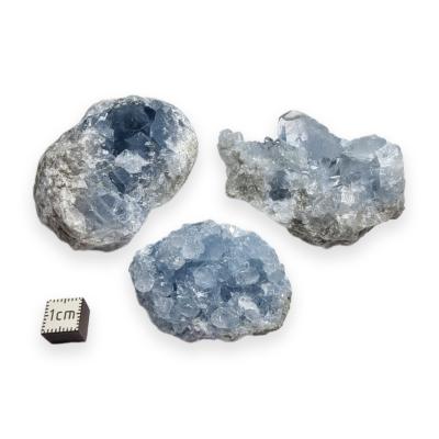 Celestine Pierre Brute