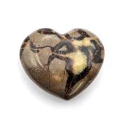Septaria Coeur 04419