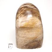 Bois Fossile Forme Libre 04069