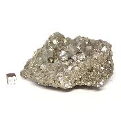 Pyrite Pierre Brute n° 05813