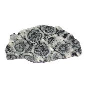 Diorite Orbiculaire Plaque 0116