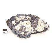 Galène Pierre brute 11613