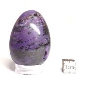 Charoite Oeuf 14903