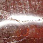 Bois Fossile Coeur 2047