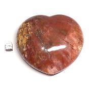 Bois Fossile Coeur 2048